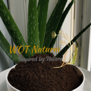 Organic CHEBE POWDER for Chebe Hair Butter and Oil Long Hair 100% Natural Chad