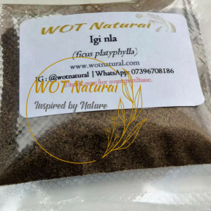 Authentic Ficus Platyphylla tree bark powder IGI NLA | Igi Nla | Asorin